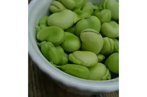 midden oosten