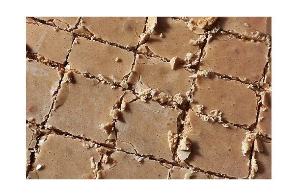 Fudge Squares