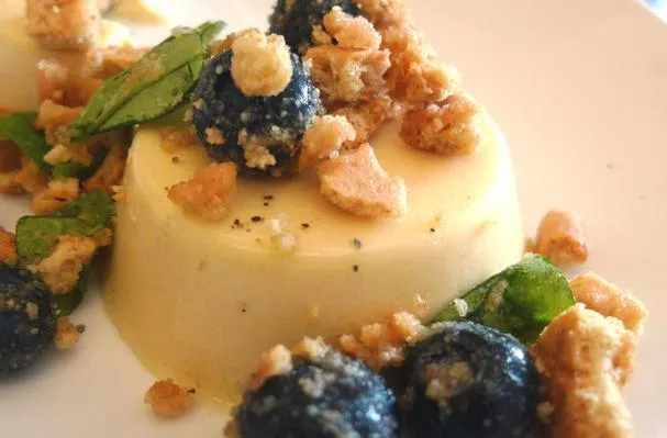 Honing Panna Cotta met Bosbessen en Graham Crackers