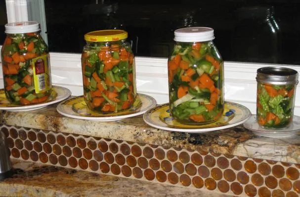 Gemengde augurken - مخلل، كبيس